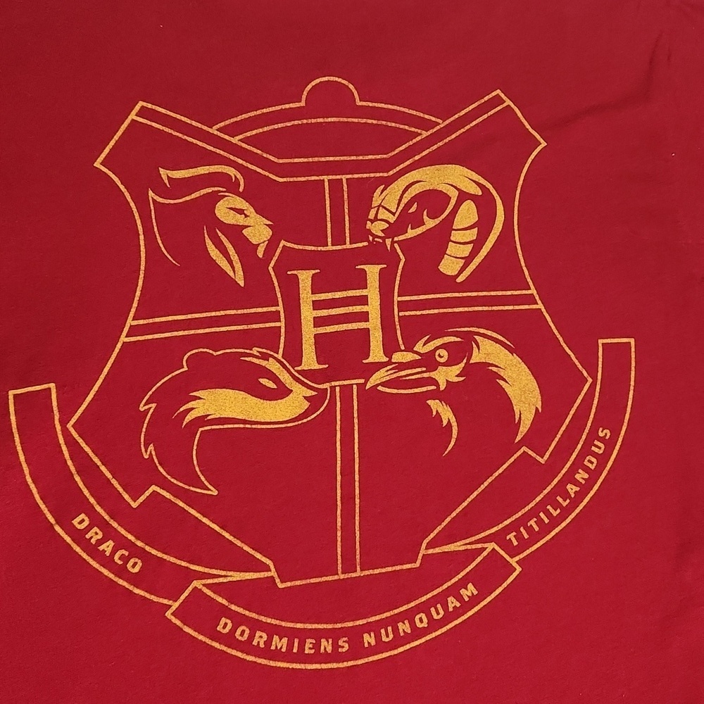 Harry Potter T-shirt Top Boys L - Wizarding world of Harry Potter Gryffindor - Picture 9 of 12